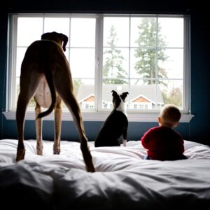 erin-vey-ZIB2EaD7P0s-unsplash (1)